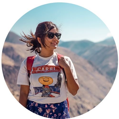 Agra tour bus client 